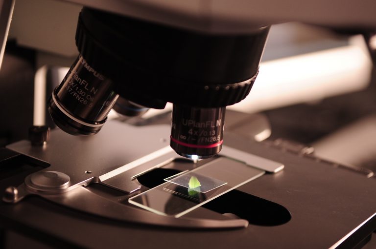 Medicina Integrativa: la sanidad del futuro