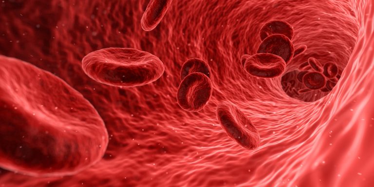 La anemia desde la Medicina Tradicional China