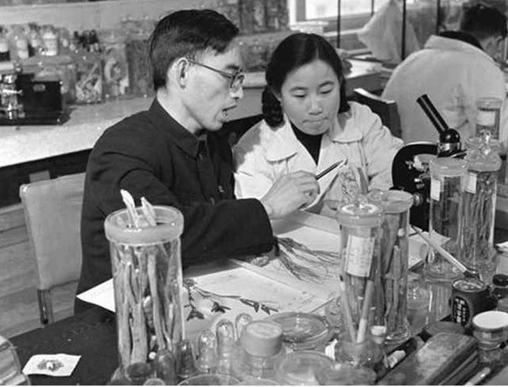 Premio Nobel Fisiología/Medicina 2015: Fitoterapia Tradicional China para la malaria