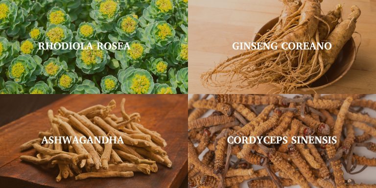 Plantas Medicina Natural para Deportistas